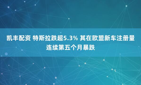 凯丰配资 特斯拉跌超5.3% 其在欧盟新车注册量连续第五个月暴跌