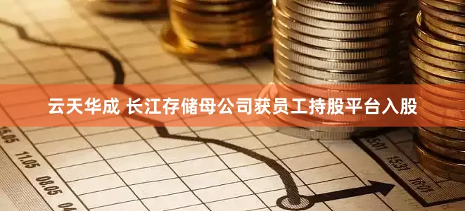 云天华成 长江存储母公司获员工持股平台入股