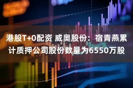 港股T+0配资 威奥股份：宿青燕累计质押公司股份数量为6550万股