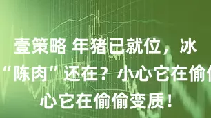 壹策略 年猪已就位，冰箱里的“陈肉”还在？小心它在偷偷变质！