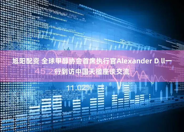 旭阳配资 全球甲醇协会首席执行官Alexander D ll一行到访中国天楹座谈交流
